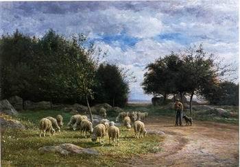 Sheep 185, unknow artist